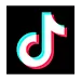 TikTok Influencer Marketing